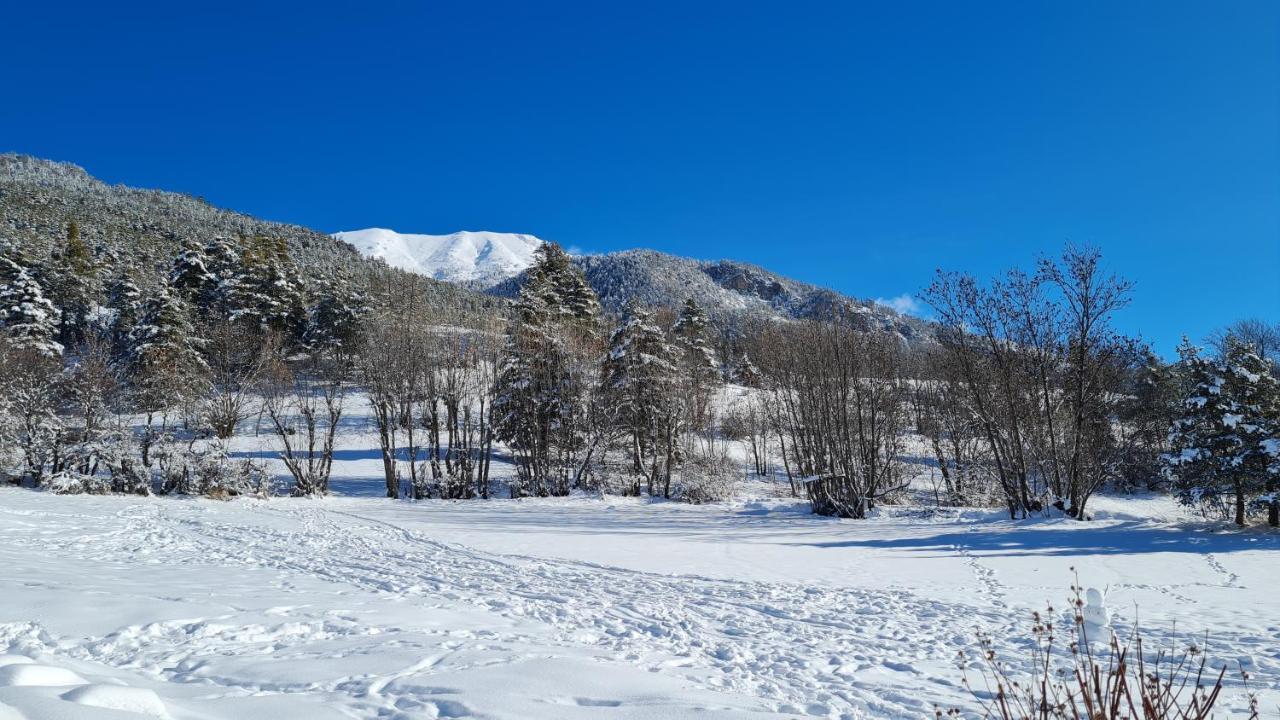 Chalet Serre Cambeou Piscine&Spa サン・シャフレ エクステリア 写真