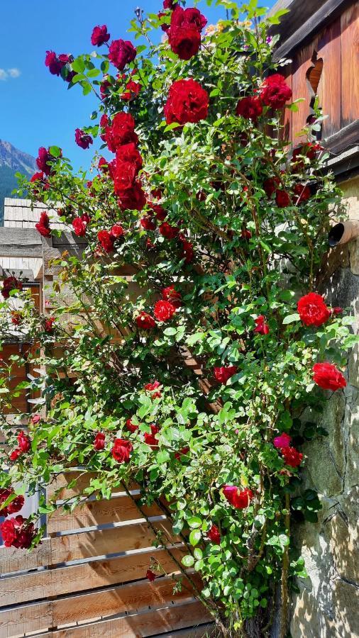 Chalet Serre Cambeou Piscine&Spa サン・シャフレ エクステリア 写真