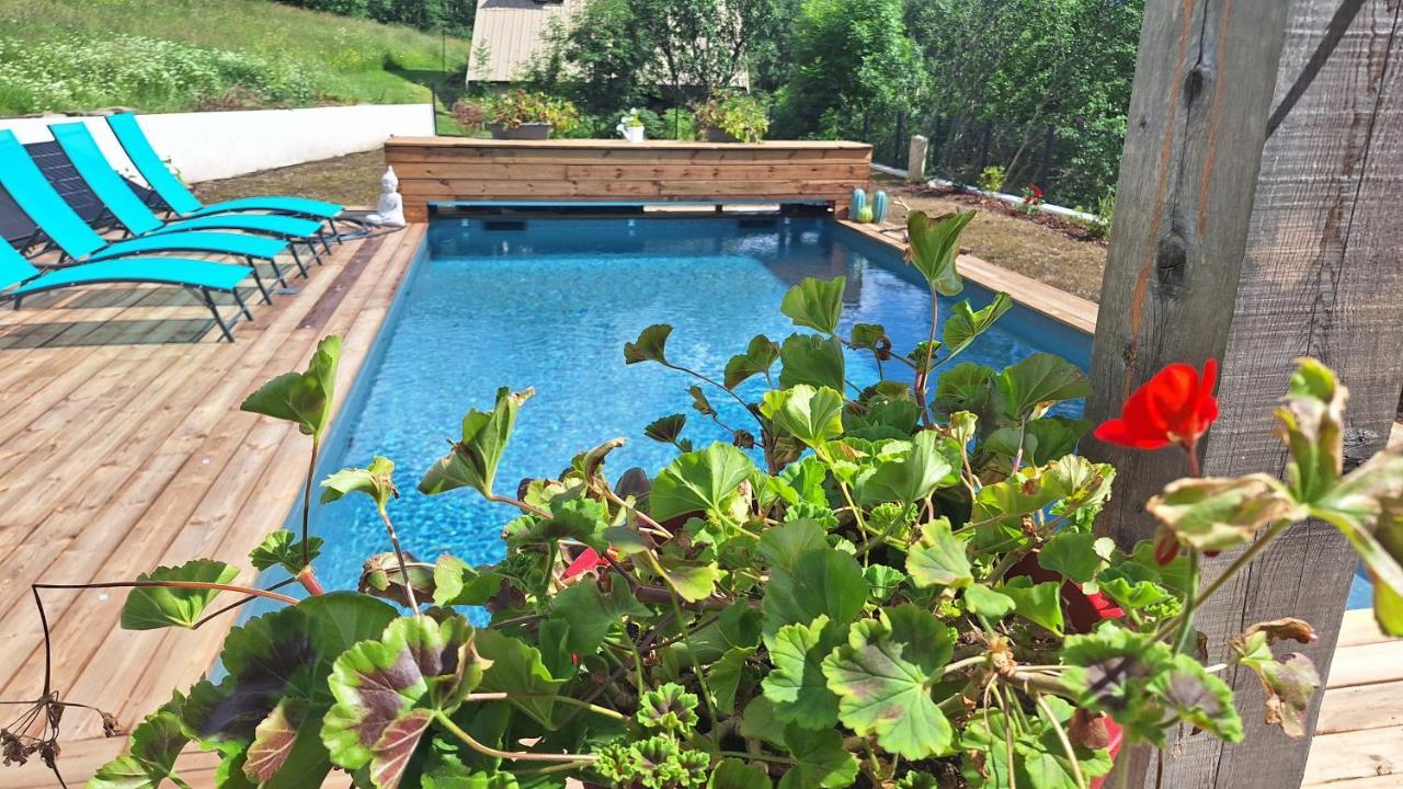 Chalet Serre Cambeou Piscine&Spa サン・シャフレ エクステリア 写真